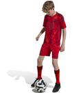Vorschau: ADIDAS Kinder Teamhose FC Bayern München 24/25 Kids Heim