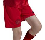 Vorschau: ADIDAS Kinder Teamhose FC Bayern München 24/25 Kids Heim