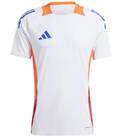 Vorschau: ADIDAS Herren Trikot Tiro 24 Competition (normal & lang)
