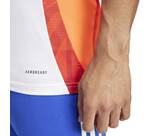 Vorschau: ADIDAS Herren Trikot Tiro 24 Competition (normal & lang)
