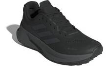Vorschau: ADIDAS Herren Trailrunningschuhe Terrex Soulstride Flow Gore-Tex