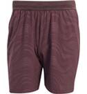 Vorschau: ADIDAS Herren Shorts Tennis Pro Climacool 7-Inch Ergo