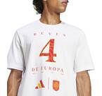 Vorschau: ADIDAS Herren Fanshirt Spanien Winners