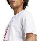 Vorschau: ADIDAS Herren Fanshirt Spanien Winners