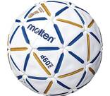 Vorschau: MOLTEN Ball H2D5000-BW