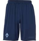 Vorschau: UHLSPORT Herren Shorts PERFORMANCE SHORTS