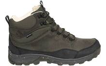 Deer Brown