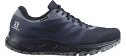 SALOMON Damen Trailrunningschuhe TRAILSTER 2 GTX online kaufen bei INTERSPORT