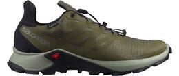 Vorschau: SALOMON Herren Trailrunningschuhe SHOES SUPERCROSS 3 GTX OlvNig/Wrought Ir
