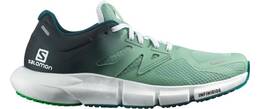 Vorschau: SALOMON Herren Laufschuhe SHOES PREDICT2 Granite Green/Ponder/Brgt