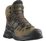 Vorschau: SALOMON Herren Trekkingstiefel SHOES QUEST 4 GTX Desert Palm/Black/Kelp