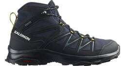 Vorschau: SALOMON Herren Multifunktionsstiefel SHOES DAINTREE MID GTX Nisk/Black/Antiqu