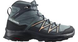 Vorschau: SALOMON Damen Multifunktionsstiefel SHOES DAINTREE MID GTX W StoWea/Ebony/Al