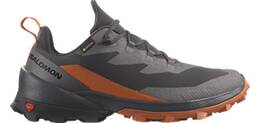 Vorschau: SALOMON Herren Multifunktionsschuhe SHOES CROSS OVER 2 GTX Mgnt/Phantm/Spiro