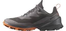 Vorschau: SALOMON Herren Multifunktionsschuhe SHOES CROSS OVER 2 GTX Mgnt/Phantm/Spiro