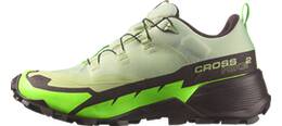 Vorschau: SALOMON Herren Multifunktionsschuhe SHOES CROSS HIKE GTX 2 Desert/Grgeck/Cho