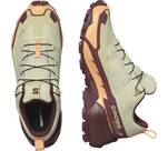 Vorschau: SALOMON Damen Multifunktionsschuhe SHOES CROSS HIKE GTX 2 W Alfalf/Cntlup/B