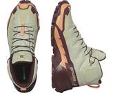 Vorschau: SALOMON Damen Multifunktionsstiefel SHOES CROSS HIKE MID GTX 2 W Alfalf/Cntl