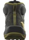 Vorschau: SALOMON Herren Multifunktionsstiefel SHOES ELIXIR MID GTX Black/Driher/Sthmos