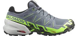 Vorschau: SALOMON Herren Trailrunningschuhe SHOES SPEEDCROSS 6 GTX Flint/Grgeck/Blac