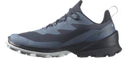 Vorschau: SALOMON Herren Multifunktionsschuhe SHOES CROSS OVER 2 GTX Bersea/Carbon/Prl