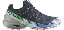 Vorschau: SALOMON Damen Trailrunningschuhe SHOES SPEEDCROSS 6 GTX W Carbon/Proven/W