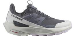 Vorschau: SALOMON Damen Multifunktionsschuhe SHOES ELIXIR ACTIV GTX W Indink/Glacgr/O