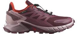 Vorschau: SALOMON Damen Trailrunningschuhe SHOES SUPERCROSS 4 GTX W Tawnyp/Deauvi/C