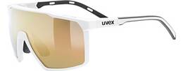 Vorschau: UVEX Herren Brille mtn perform s
