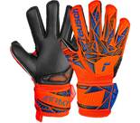 hyper orange / electric blue / black