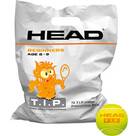 Vorschau: HEAD Ball 72B TIP orange - Polybag - 6DZ