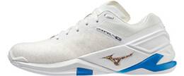 Vorschau: MIZUNO Herren Handballschuhe WAVE STEALTH NEO(U)