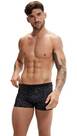 Vorschau: SPEEDO Badehose VALMILTON ALOV ASHT AM BLACK/GREY