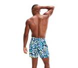 Vorschau: SPEEDO Badehose PRINT LEIS 16 WSHT BLUE/GREEN