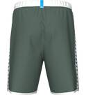 Vorschau: arena Icons Unisex Bermuda Team Stripe