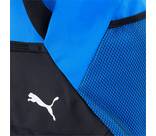 Vorschau: PUMA Tasche teamGOAL Teambag L