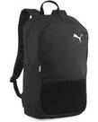 Vorschau: PUMA Tasche teamGOAL Backpack
