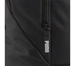 Vorschau: PUMA Tasche teamGOAL Backpack