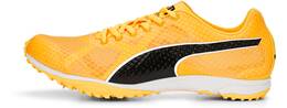 Vorschau: PUMA Herren Leichtathletikschuhe evoSPEED Haraka 7