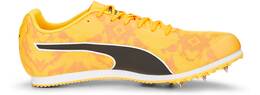 SUN STREAM-SUNSET GLOW-PUMA BL