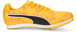 Vorschau: PUMA Kinder Leichtathletikschuhe evoSPEED Star 8 Junior