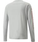 Vorschau: PUMA Herren Shirt TRAIN LOGO LS TEE