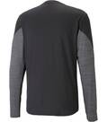 Vorschau: PUMA Herren RUN CLOUDSPUN LS M