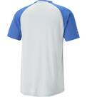 Vorschau: PUMA Herren Shirt Puma Fit Ultrabreathe Tee