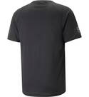 Vorschau: PUMA Herren Shirt FIT ULTRABREATHE TRIB