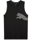 Vorschau: PUMA Herren Jacke Train All Day BIG CAT Tank