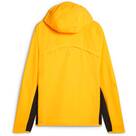 Vorschau: PUMA Herren Jacke RUN ULTRAWEAVE RAINCELL JACKET M