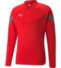 Vorschau: PUMA Herren Shirt teamFINAL Training 1/4 Zip