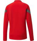 Vorschau: PUMA Herren Shirt teamFINAL Training 1/4 Zip