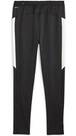 Vorschau: PUMA Herren Sporthose Individual Winterized Pant